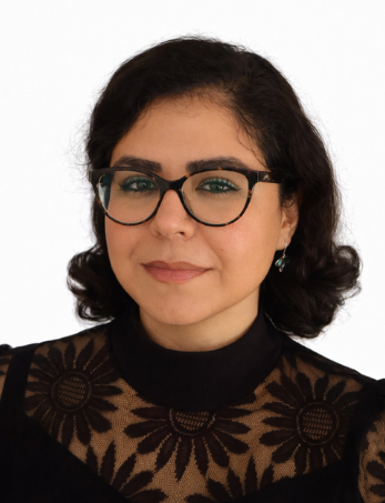 Dr. Khaled Ibrahim